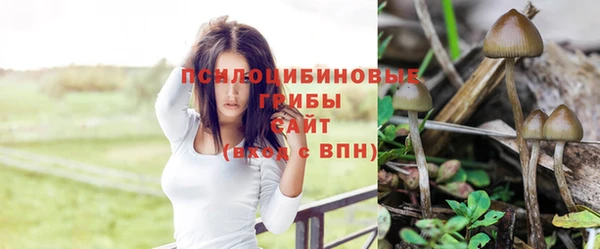 гашиш Алексин